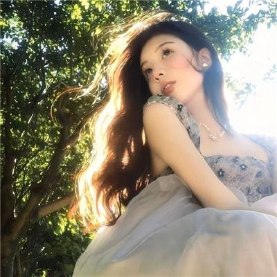 翱翔于天际的夜鹰